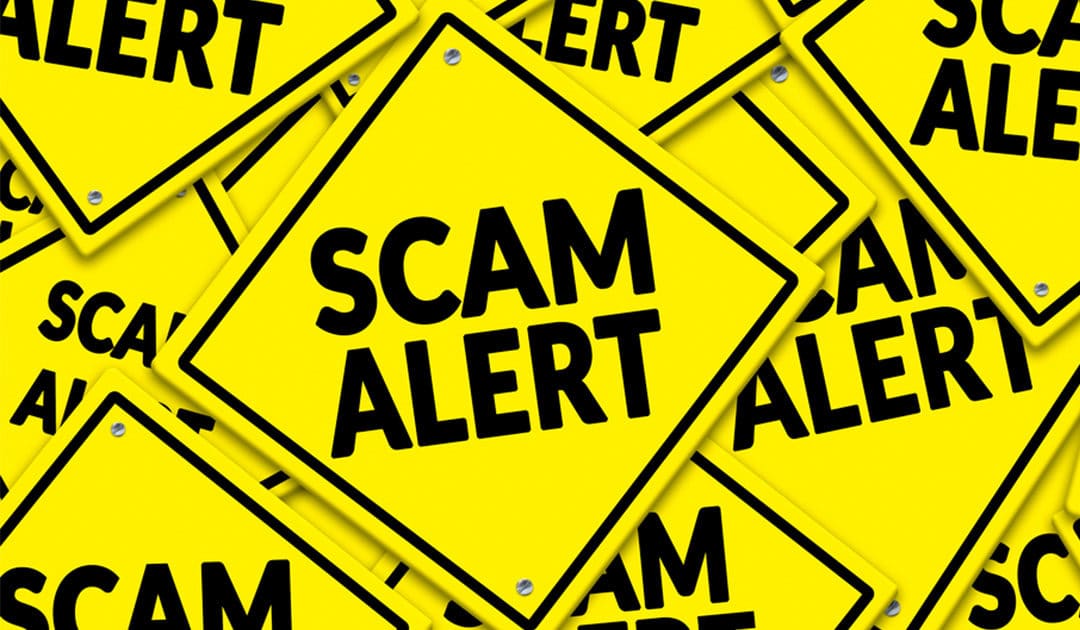 SEO Scams: Is That Email Legit?